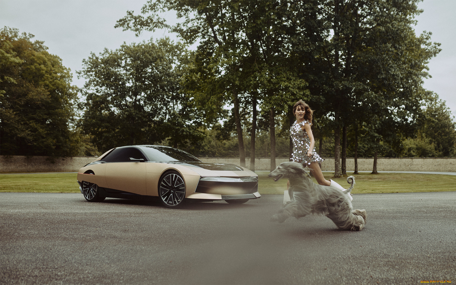 ����������, -���� � ���������, ds